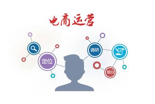 国外电子商务专业经验