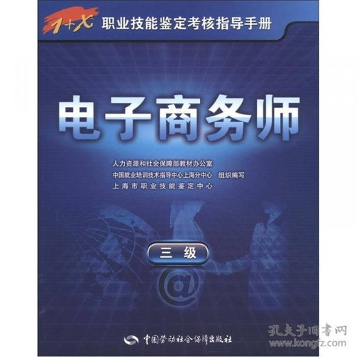 电子商务师专业技能