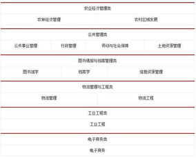 电子商务文专业考核内容